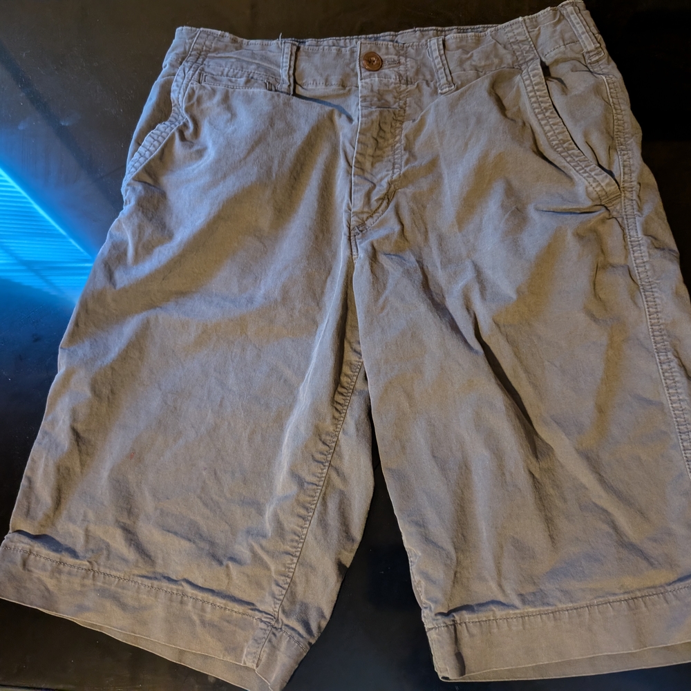 American Eagle Outfitters Men's Light Gray Flat Front Shorts